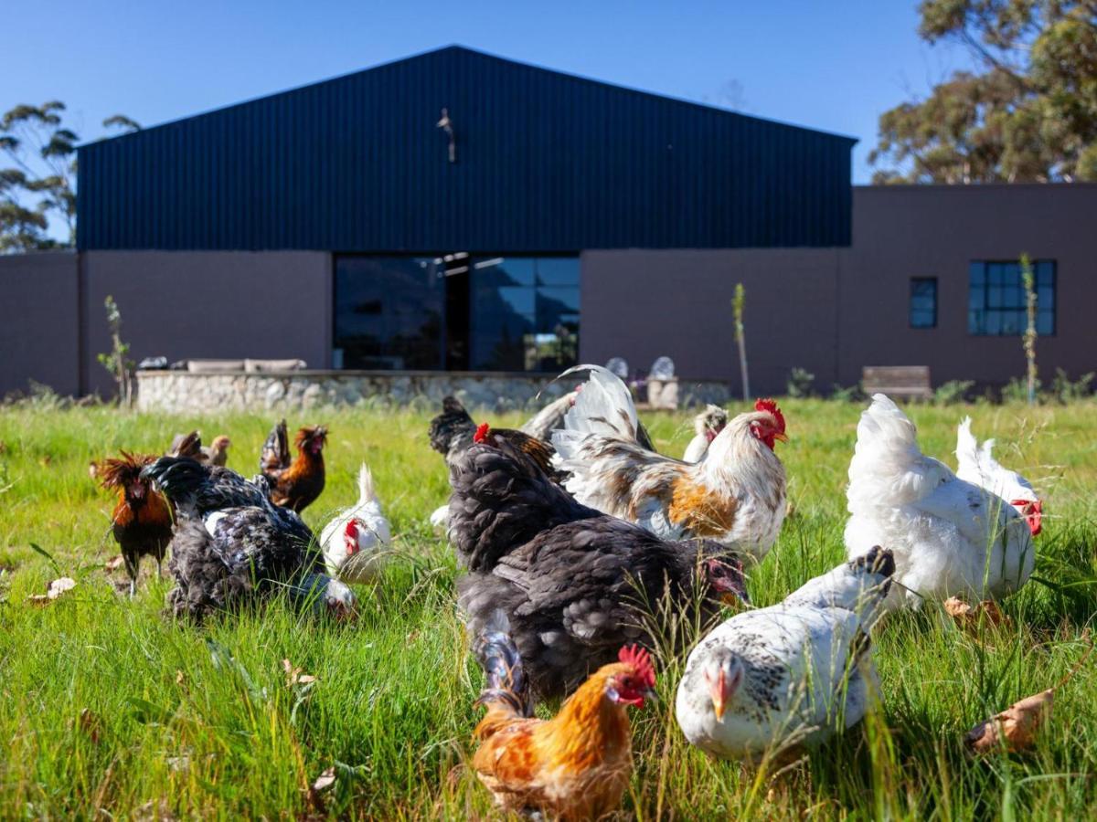 Rivergate Guest Farm Stanford Exterior foto