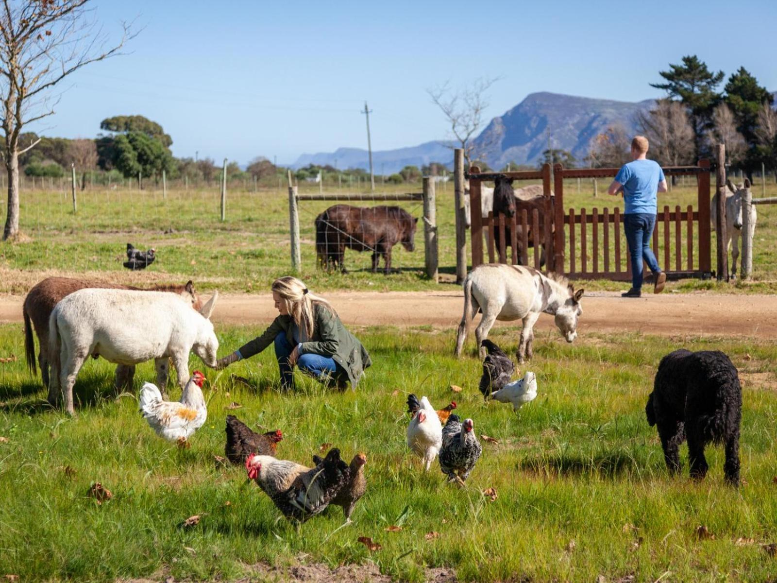 Rivergate Guest Farm Stanford Exterior foto